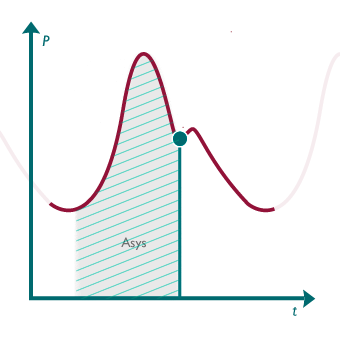 Pulskonturanalyse-Maximale Ausnutzung des arteriellen Drucksignals